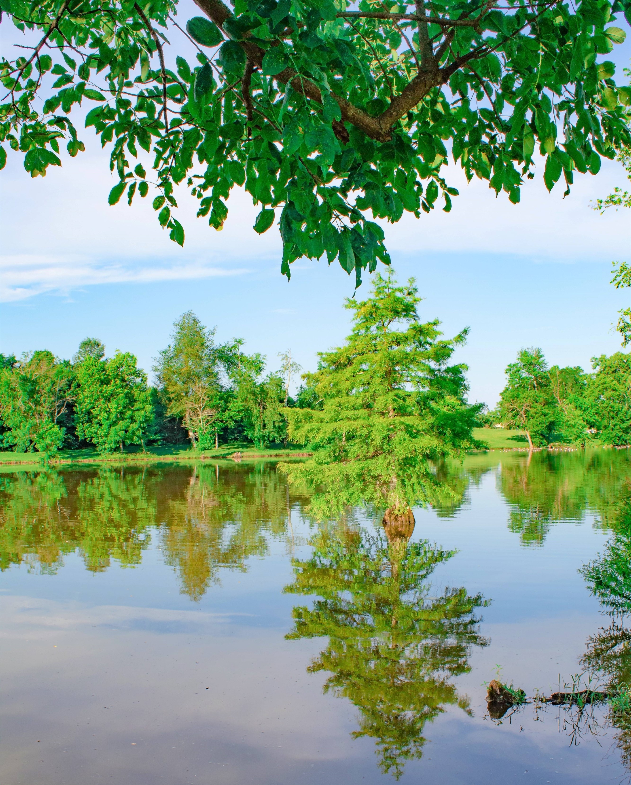 A Lake Reflection