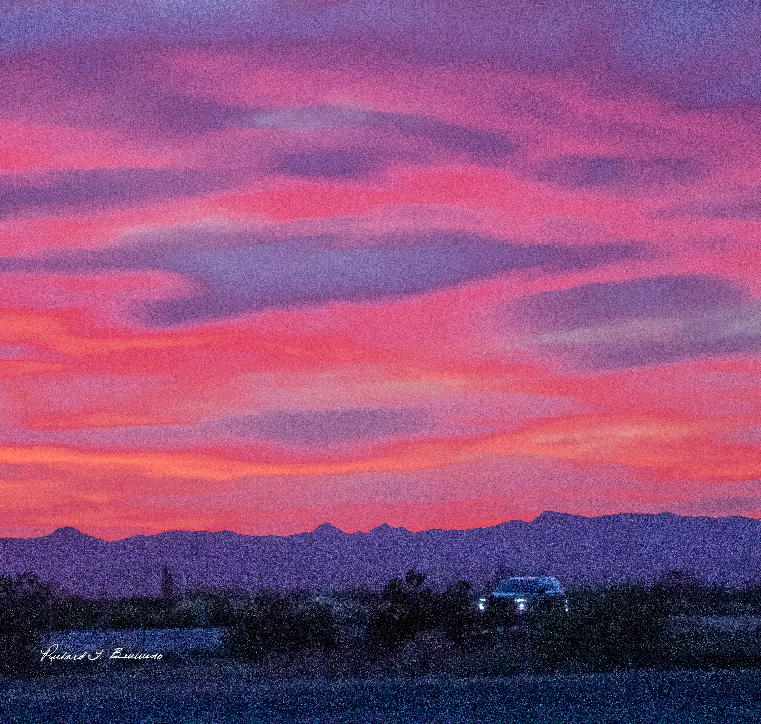 A Vibrant Sunset